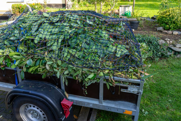 Best Shed Removal  in Heritage Lake, IN